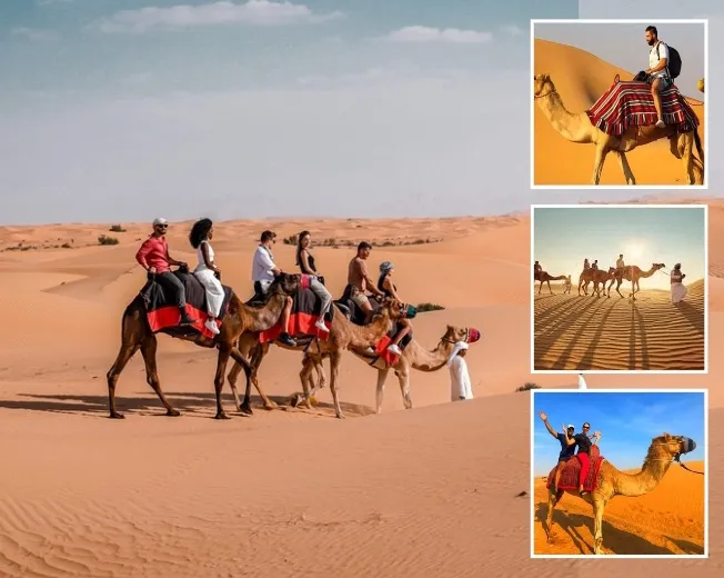 >Dubai Desert Camel Ride & Cultural Experince